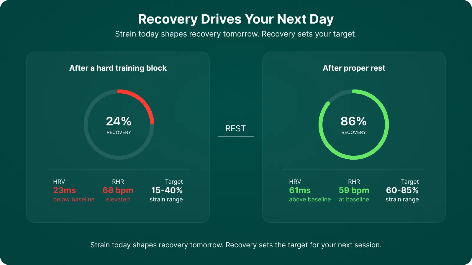 The strain and recovery feedback loop