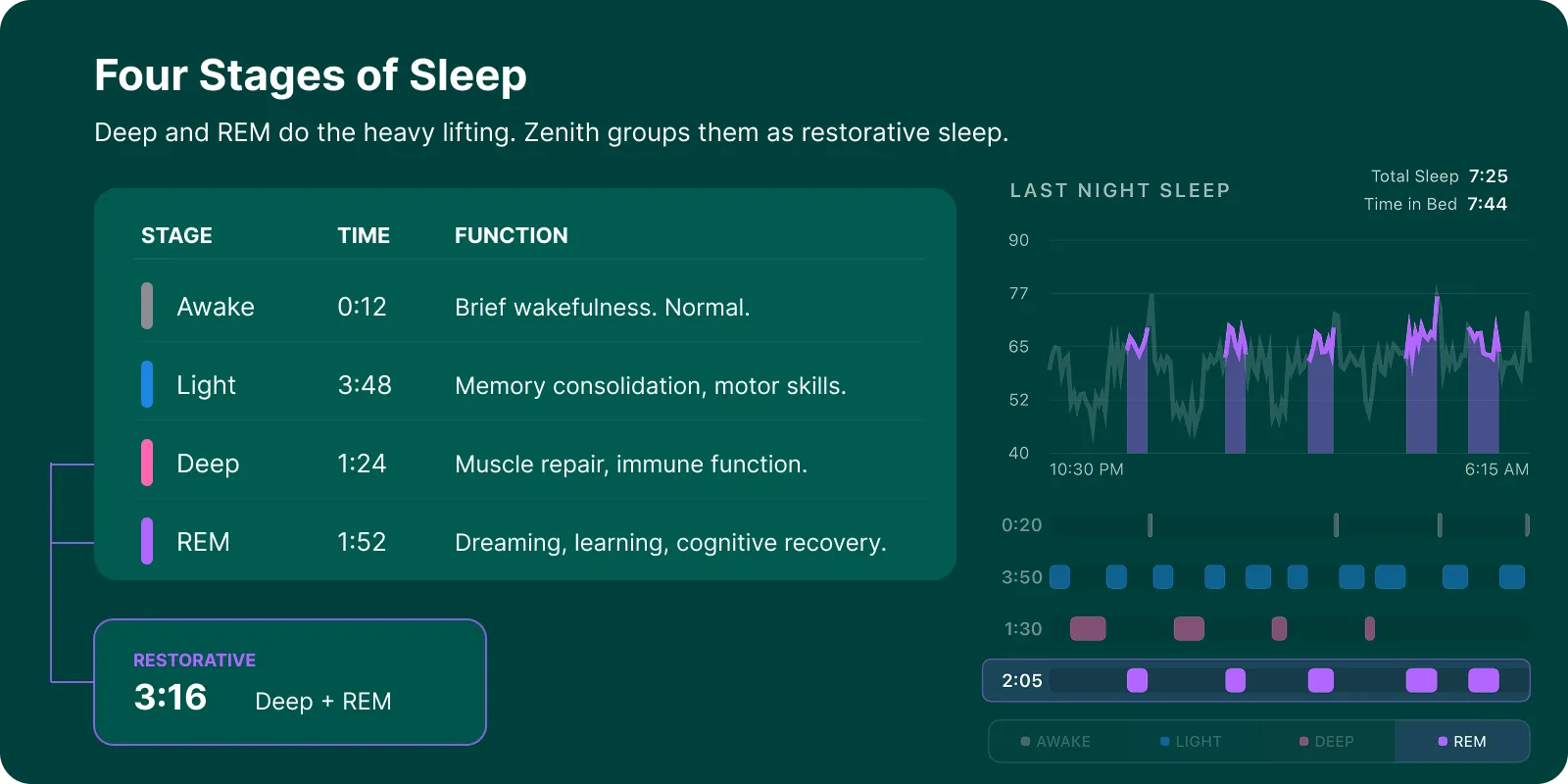 A night of sleep broken into four stages with deep and REM grouped as restorative