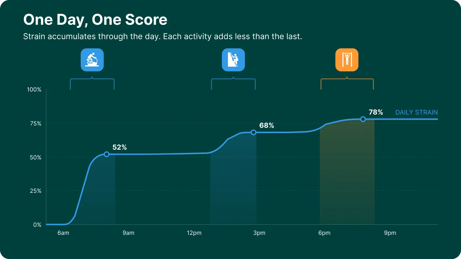 Strain accumulates through the day with diminishing returns. Three activities combine non-linearly into one daily score.